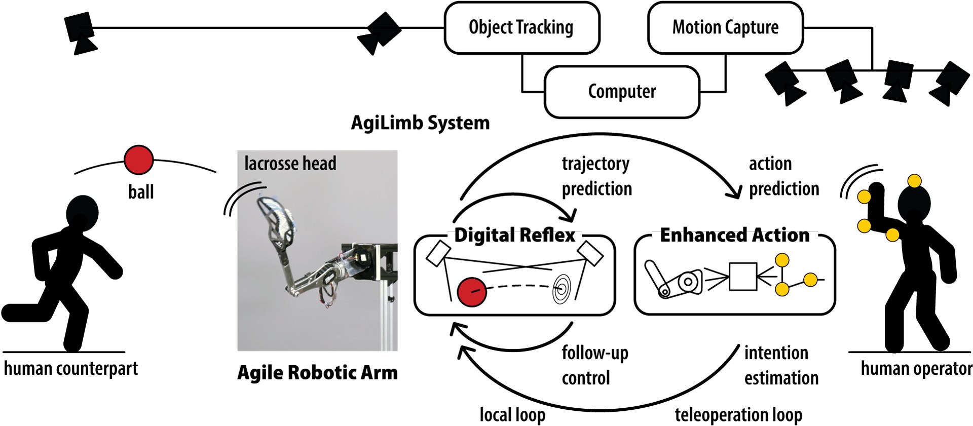 System overview: object tracking cameras and motion capture feed a computer; a local loop (digital reflex) predicts the ball trajectory and controls the arm; a teleoperation loop (enhanced action) estimates the operator’s intention