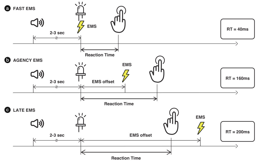 Timelines of the three conditions: in fast EMS the stimulation coincides with the LED; in agency EMS it comes after an offset but before the participant’s own tap; in late EMS it comes after the tap