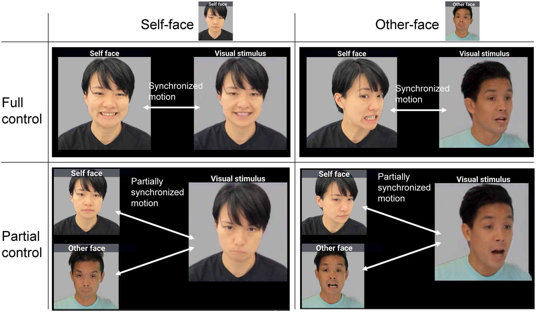 A two-by-two table of example frames: self-face or other-face, with full control (the displayed face moves in sync with the participant) or partial control (it moves with a mix of the participant’s and the experimenter’s motion)