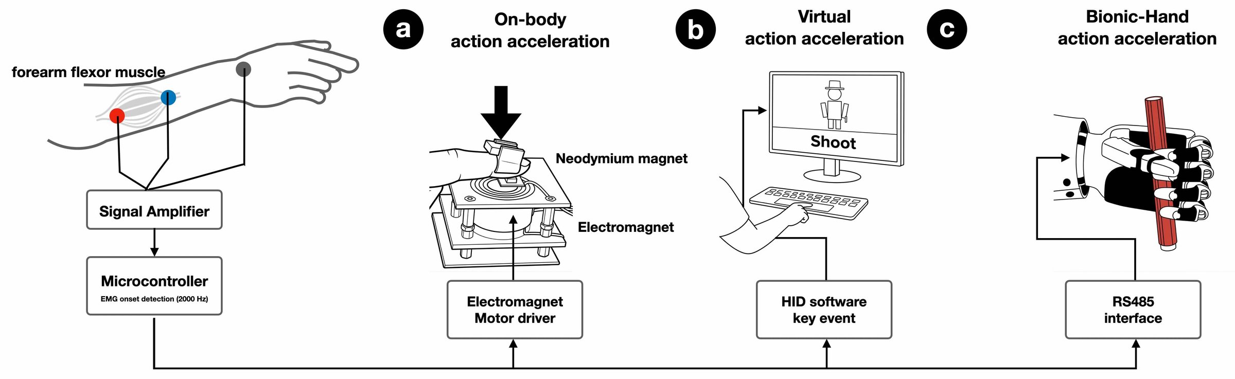 System overview: forearm EMG, a signal amplifier and a microcontroller drive an electromagnet, a software key event, or a robotic hand