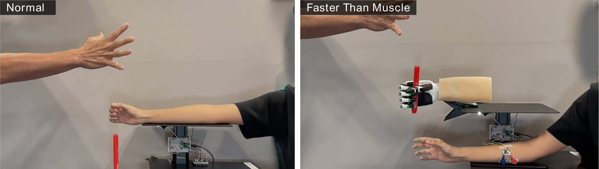 Two photos, labelled Normal and Faster Than Muscle: on the left a pen falls past a hand that has not closed yet; on the right a robotic hand has grasped it