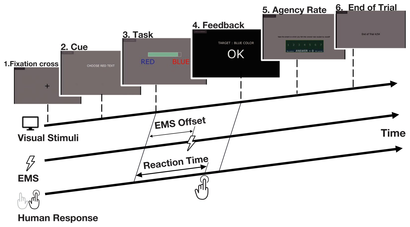 Timeline of a trial: fixation cross, cue, Stroop task, OK feedback, agency rating and end of trial, with the EMS offset and the participant’s reaction time marked on parallel time axes