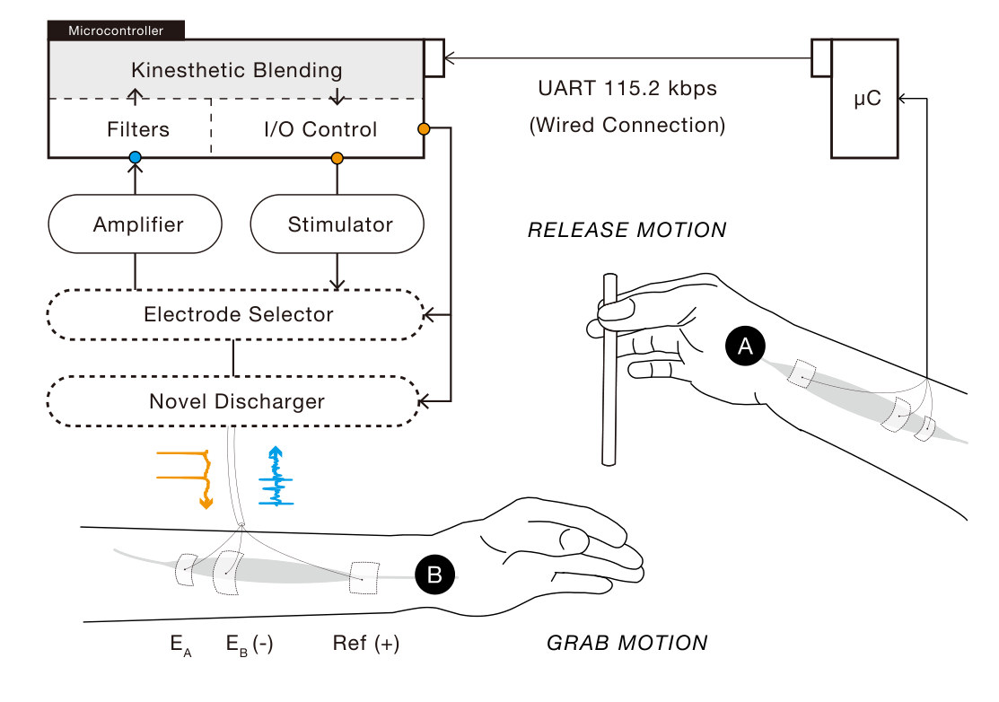Diagram of the bioSync device (microcontroller, amplifier, stimulator, electrode selector and discharger) wired to person A’s forearm, which releases a bar, and to person B’s forearm, which grabs it