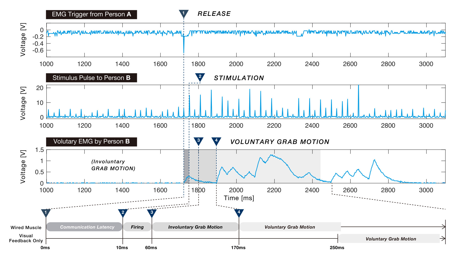 Three signal traces over time: person A’s EMG with the release, the stimulus pulses to person B and person B’s EMG with a small involuntary grab followed by a larger voluntary grab, above a timeline marking 0, 10, 60, 170 and 250 ms